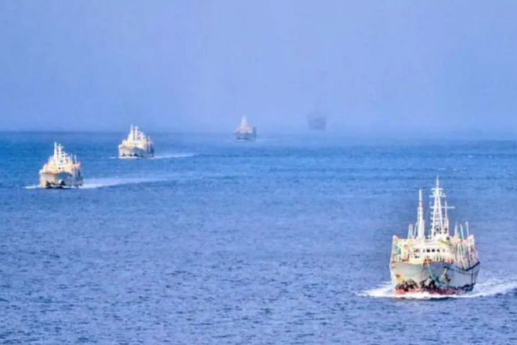 Y mientras nos meten en cuarentena: La Armada de Chile confirmó el paso de 30 buques chinos al Mar Argentino