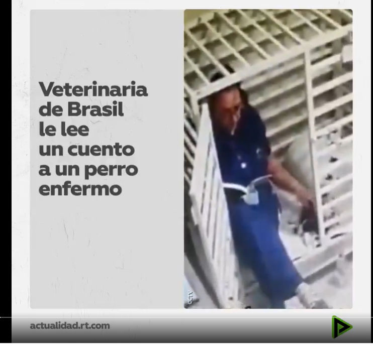 veterinaria1