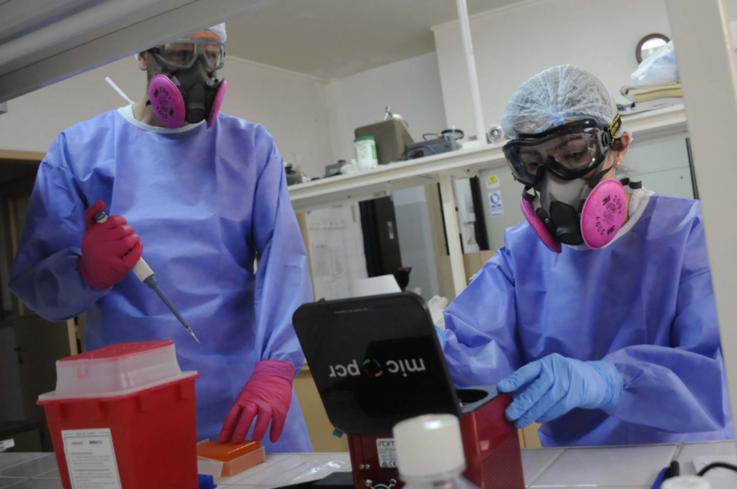 Científicos de la UNLP detectaron por primera vez coronavirus en animales de La Plata