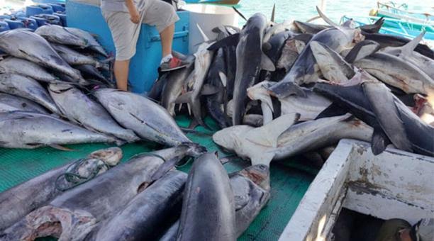 LAT-Illegal-Fishing_1