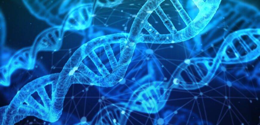 La vacuna de ARNm de Pfizer entra en el hígado y se transforma en ADN, según un estudio sueco