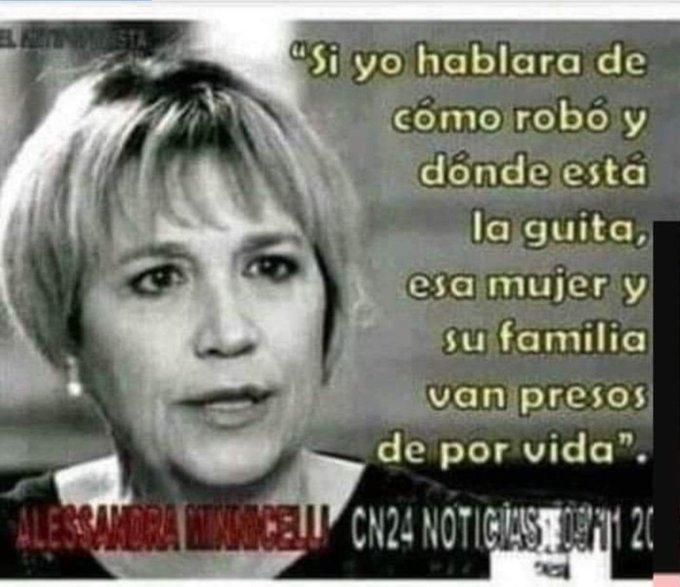 Alessandra Minicelli esposa de J ,. De Vido: “si yo hablara de como robo y donde esta la guita esa mujer y su familia va presa de por vida”