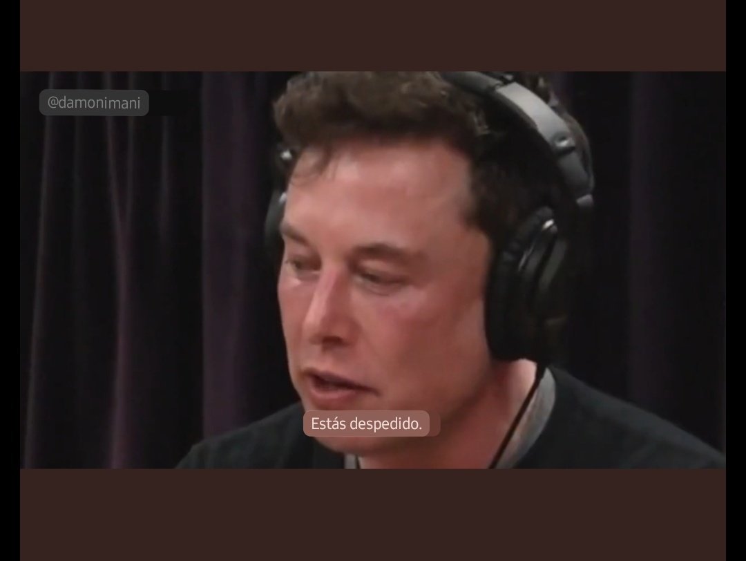 Elon Musk: you ar fired (estás despedida)