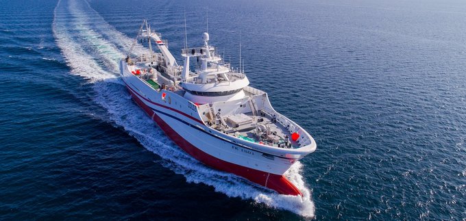 En 15 días españoles y asiáticos extrajeron de Malvinas más 31.000 toneladas de calamar