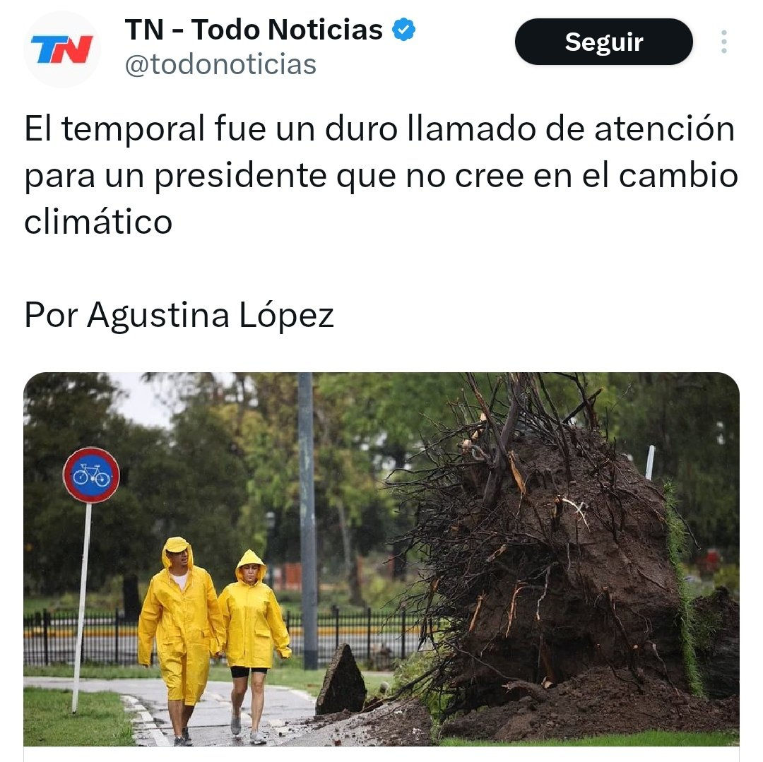 Imagen10