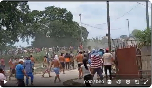 Captura de pantalla 2024-12-19 124048