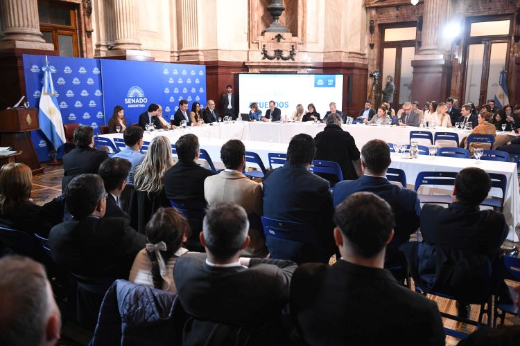 Mario Mosca / Comunicacin Senado.-
